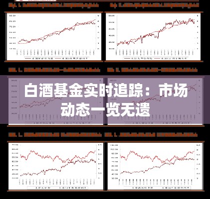 白酒基金实时追踪：市场动态一览无遗