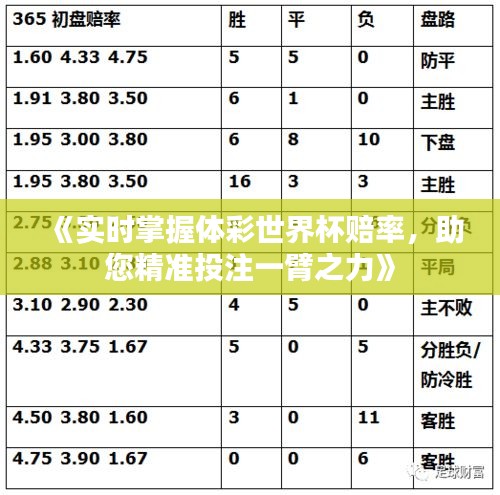 《实时掌握体彩世界杯赔率，助您精准投注一臂之力》