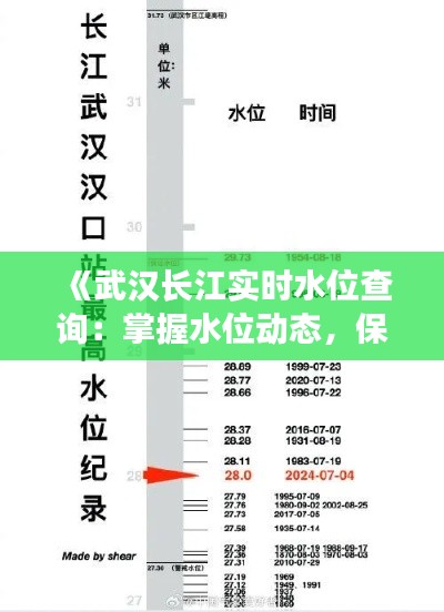 《武汉长江实时水位查询：掌握水位动态，保障安全出行》