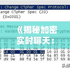 《揭秘加密实时聊天：安全沟通的守护者》