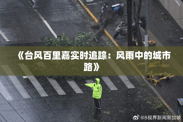 《台风百里嘉实时追踪：风雨中的城市路》