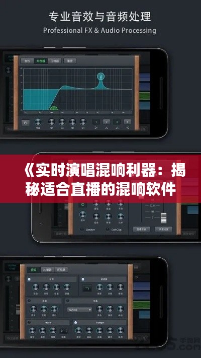 《实时演唱混响利器：揭秘适合直播的混响软件》