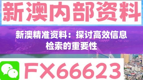 新澳精准资料：探讨高效信息检索的重要性