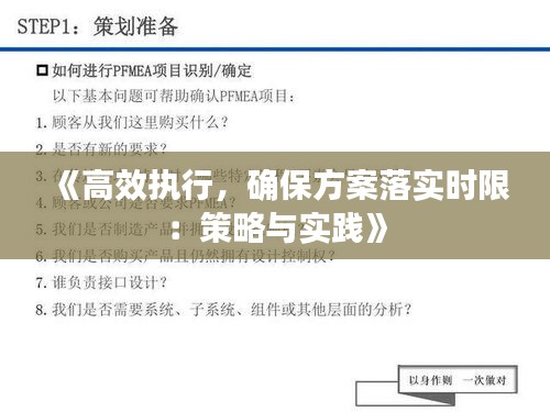 《高效执行，确保方案落实时限：策略与实践》