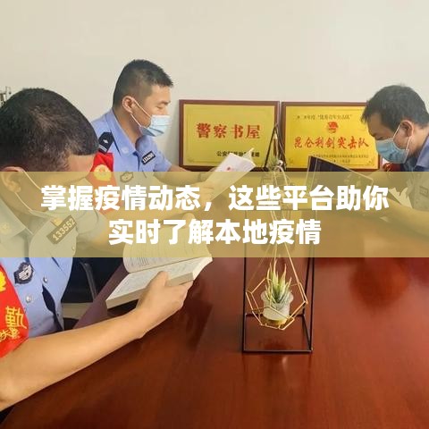 掌握疫情动态，这些平台助你实时了解本地疫情