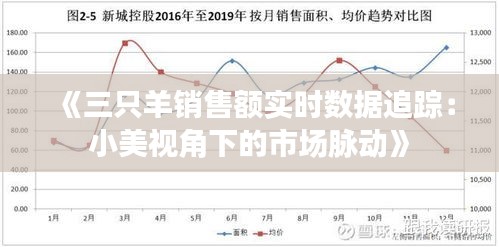 《三只羊销售额实时数据追踪：小美视角下的市场脉动》