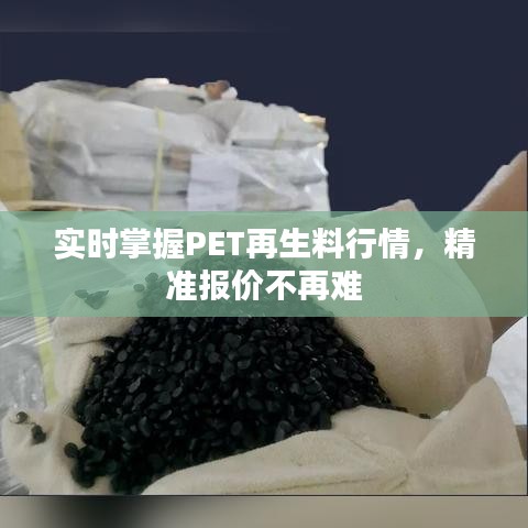 实时掌握PET再生料行情，精准报价不再难