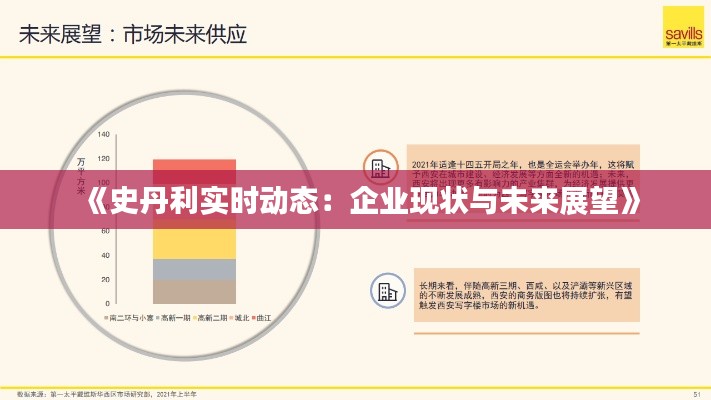 《史丹利实时动态：企业现状与未来展望》