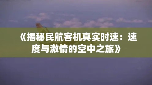 《揭秘民航客机真实时速：速度与激情的空中之旅》