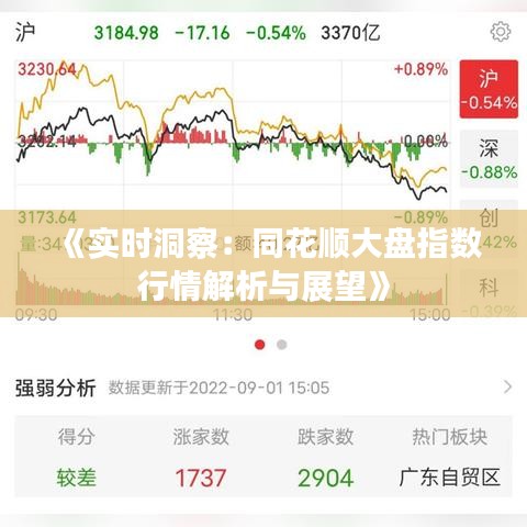 《实时洞察：同花顺大盘指数行情解析与展望》