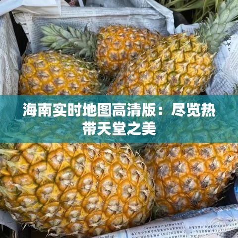 海南实时地图高清版：尽览热带天堂之美