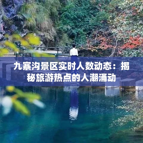 九寨沟景区实时人数动态：揭秘旅游热点的人潮涌动