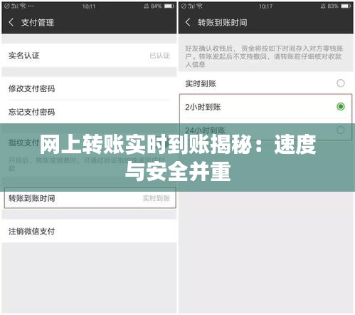 网上转账实时到账揭秘：速度与安全并重