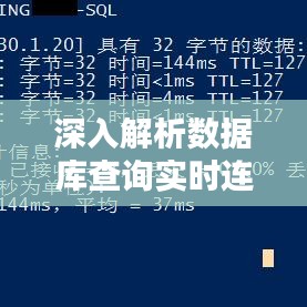 深入解析数据库查询实时连接数：方法与技巧