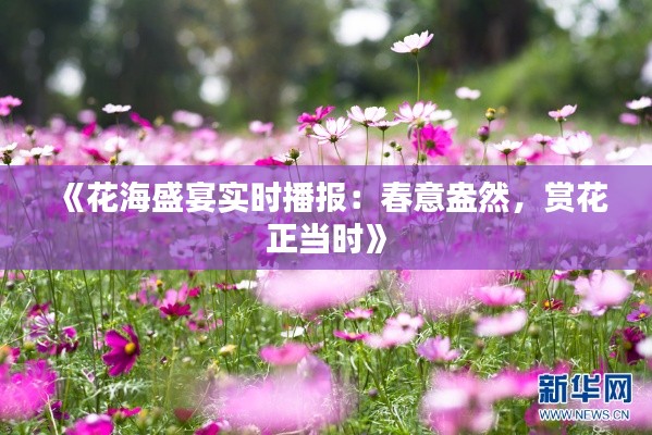 《花海盛宴实时播报：春意盎然，赏花正当时》