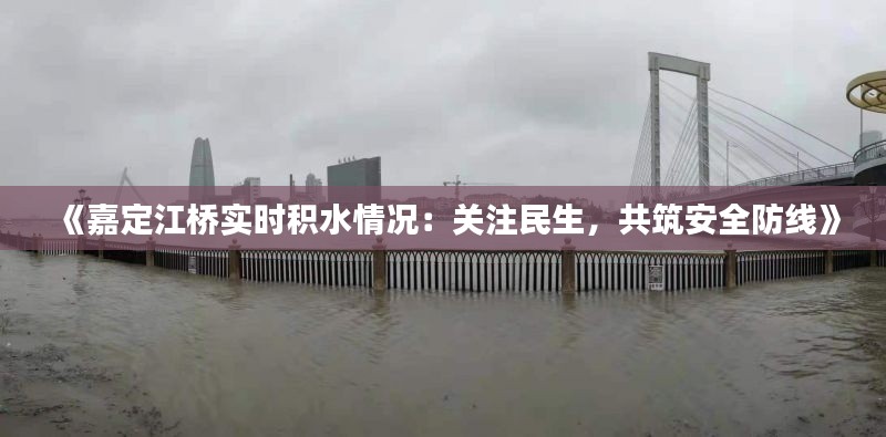 《嘉定江桥实时积水情况：关注民生，共筑安全防线》