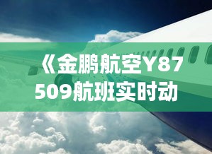 《金鹏航空Y87509航班实时动态：追踪空中之旅》