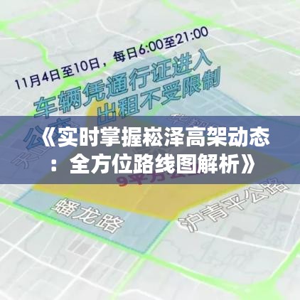 《实时掌握崧泽高架动态：全方位路线图解析》