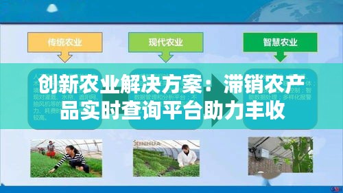 创新农业解决方案：滞销农产品实时查询平台助力丰收