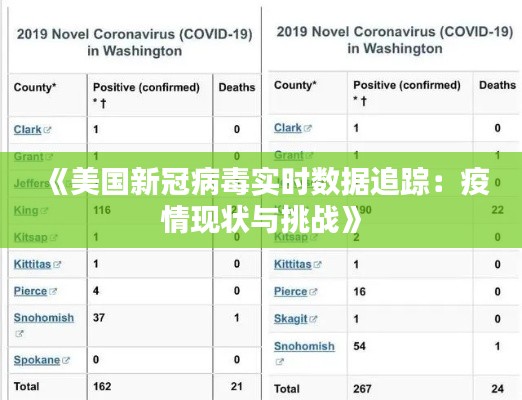 《美国新冠病毒实时数据追踪：疫情现状与挑战》