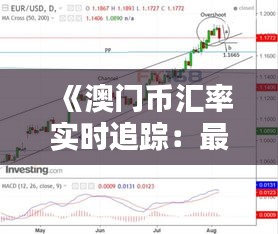 《澳门币汇率实时追踪：最新动态一览无遗》