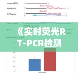 《实时荧光RT-PCR检测操作指南：精准高效检测方法详解》