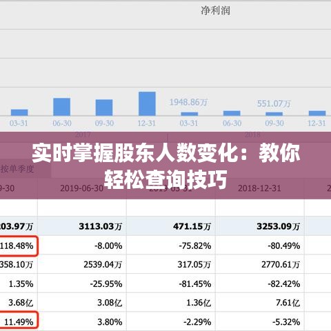 实时掌握股东人数变化：教你轻松查询技巧