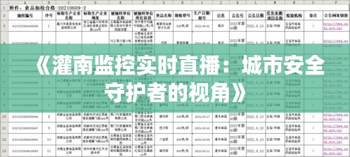 《灌南监控实时直播：城市安全守护者的视角》