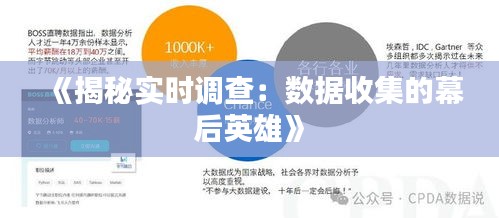 《揭秘实时调查：数据收集的幕后英雄》