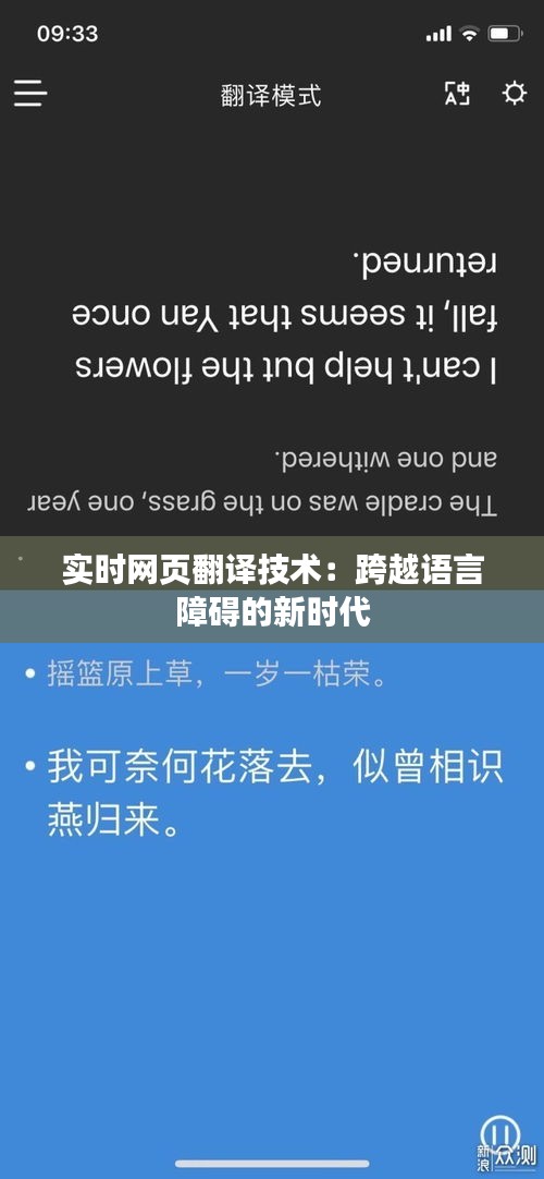 实时网页翻译技术：跨越语言障碍的新时代