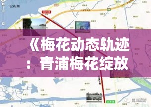 《梅花动态轨迹：青浦梅花绽放实时路径图赏鉴》