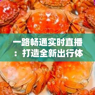 一路畅通实时直播：打造全新出行体验