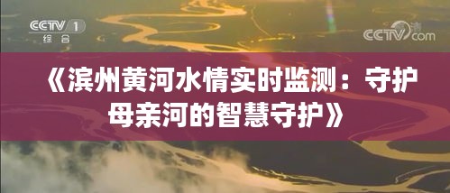 《滨州黄河水情实时监测：守护母亲河的智慧守护》