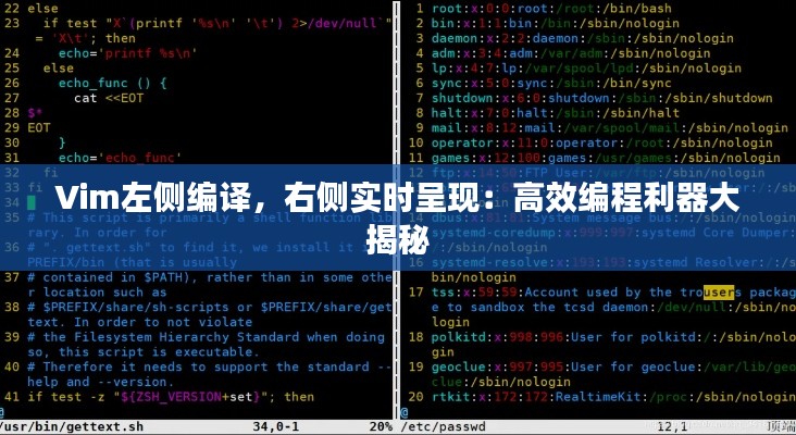 Vim左侧编译，右侧实时呈现：高效编程利器大揭秘