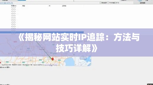 《揭秘网站实时IP追踪：方法与技巧详解》