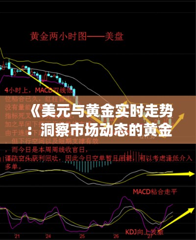 《美元与黄金实时走势：洞察市场动态的黄金法则》