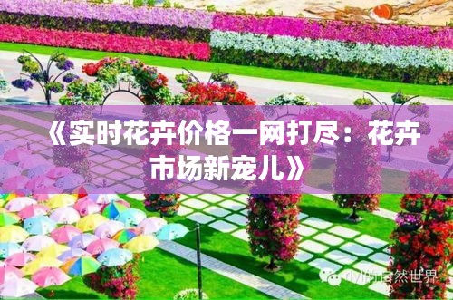 《实时花卉价格一网打尽：花卉市场新宠儿》