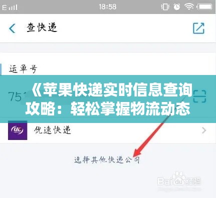 《苹果快递实时信息查询攻略：轻松掌握物流动态》