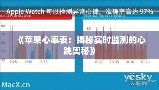 《苹果心率表：揭秘实时监测的心跳奥秘》