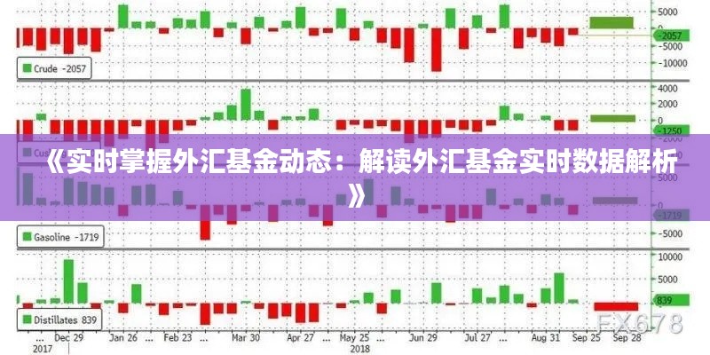 《实时掌握外汇基金动态：解读外汇基金实时数据解析》