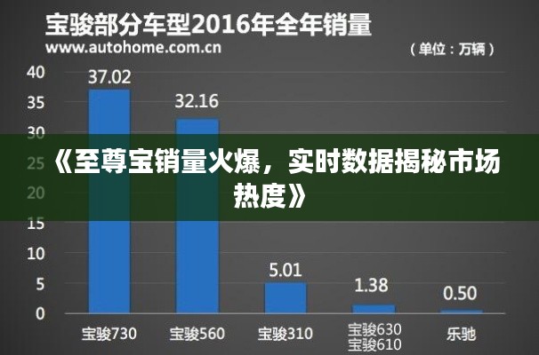 《至尊宝销量火爆，实时数据揭秘市场热度》