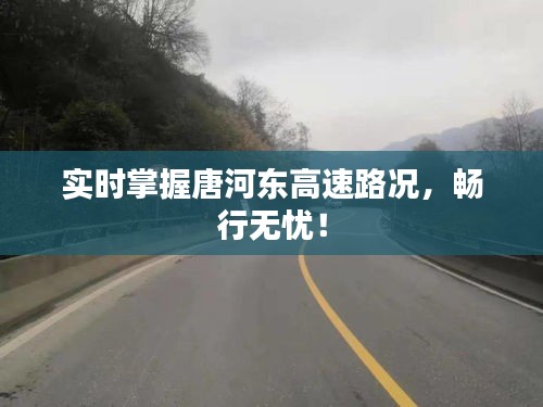 实时掌握唐河东高速路况，畅行无忧！