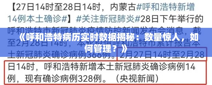 《呼和浩特病历实时数据揭秘：数量惊人，如何管理？》