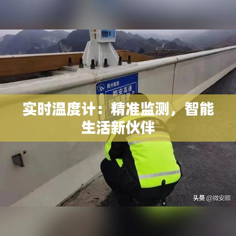 实时温度计：精准监测，智能生活新伙伴