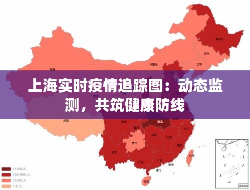 上海实时疫情追踪图：动态监测，共筑健康防线