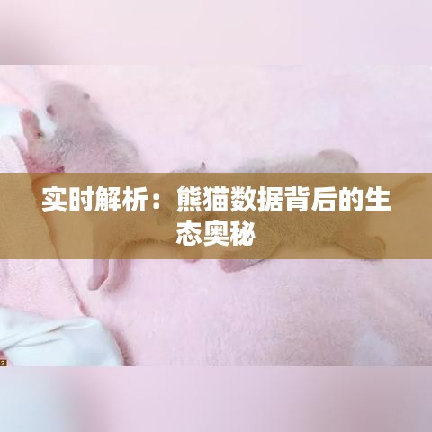 实时解析：熊猫数据背后的生态奥秘