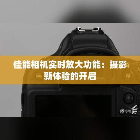 佳能相机实时放大功能：摄影新体验的开启