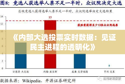 《内部大选投票实时数据：见证民主进程的透明化》