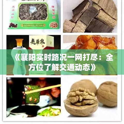 《襄阳实时路况一网打尽：全方位了解交通动态》