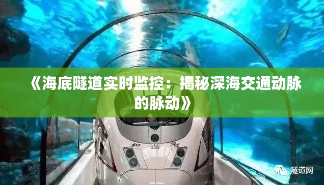 《海底隧道实时监控：揭秘深海交通动脉的脉动》